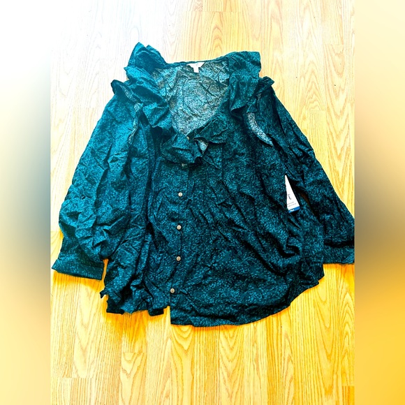 BNWT Terra & Sky blouse sz 3x - Picture 2 of 4